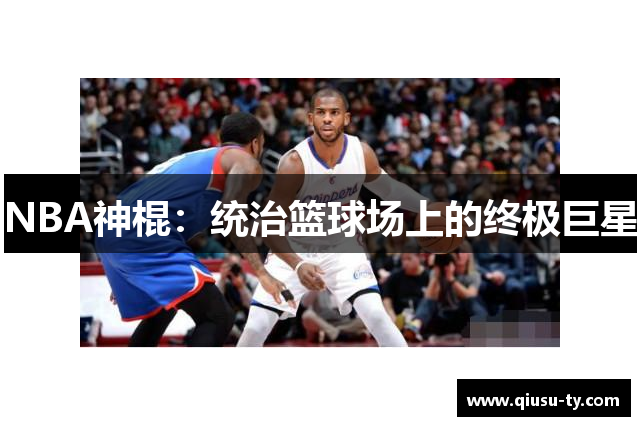 NBA神棍：统治篮球场上的终极巨星