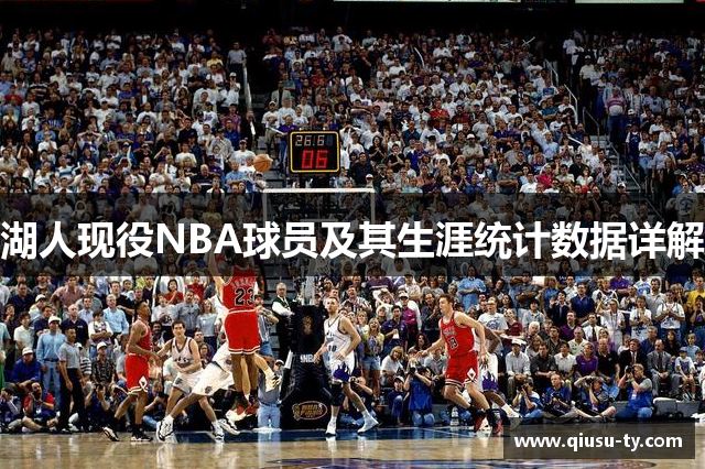 湖人现役NBA球员及其生涯统计数据详解