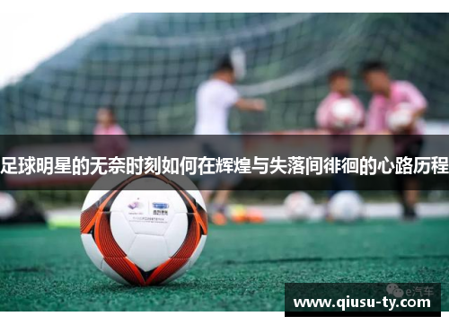 足球明星的无奈时刻如何在辉煌与失落间徘徊的心路历程