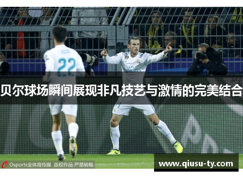 贝尔球场瞬间展现非凡技艺与激情的完美结合